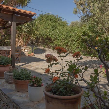 Private Pet Friendly Villa Ágios Nikólaos Exteriér fotografie