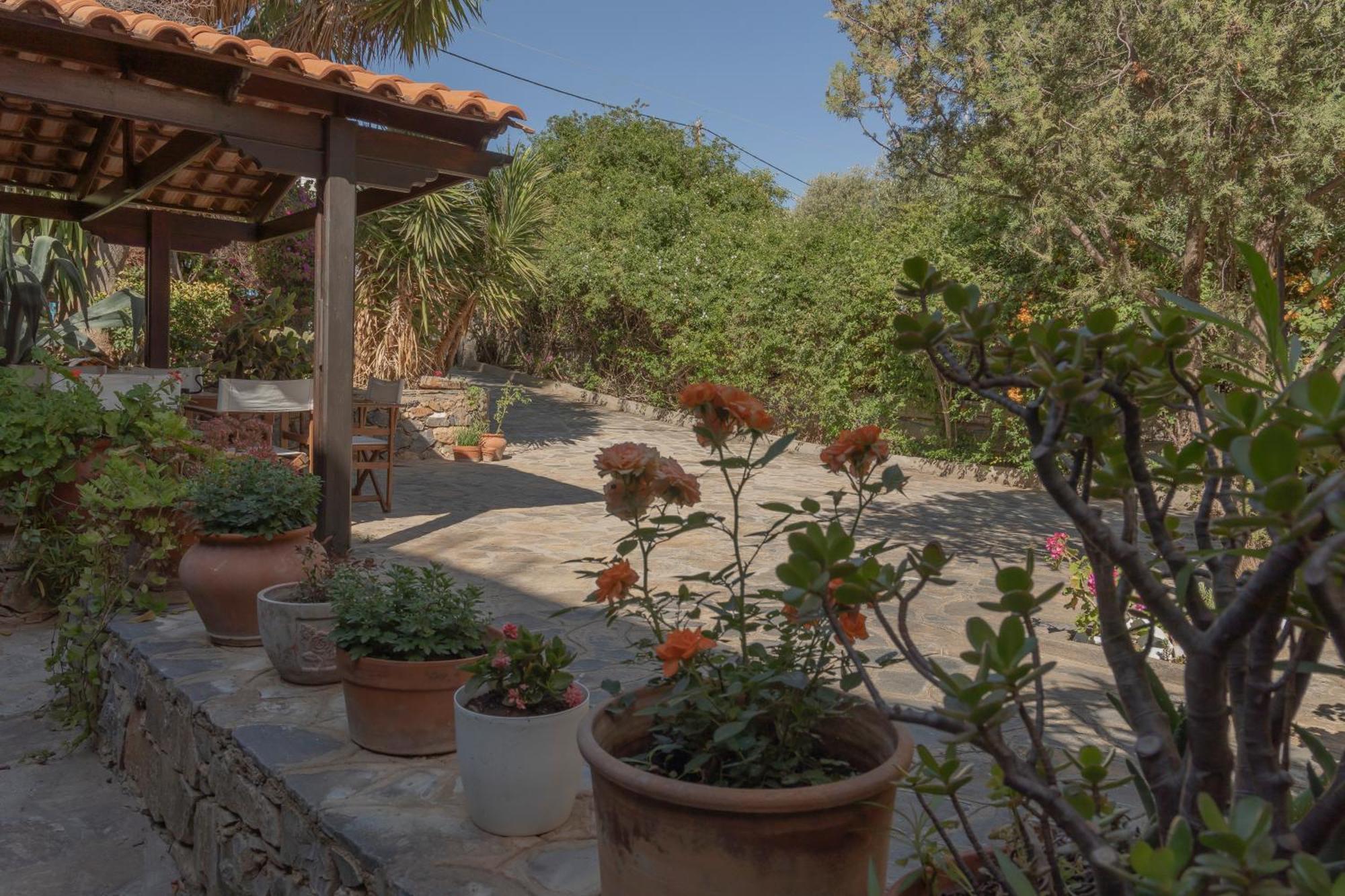 Private Pet Friendly Villa Ágios Nikólaos Exteriér fotografie